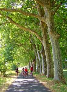 Der Canal du Midi bei Portiragnes Plage