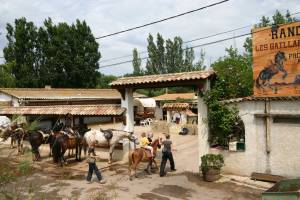 Reiten in Portiragnes Plage