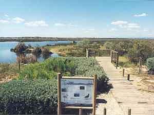 Das Naturschutzgebiet vonPortiragnes Plage